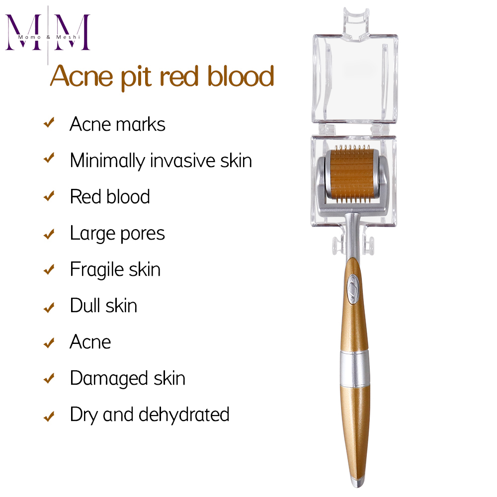 Derma Roller - 0.3mm Micro Needles System for Facial Mesotherapy, Enhances Serum Absorption, Reduces Wrinkles, And Improves Skin Texture by Momo & Meshi